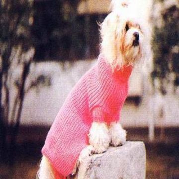 Sweater For Pets (Pw-008) 